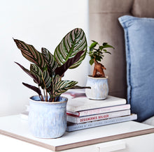 Load image into Gallery, Glazed Coverpots